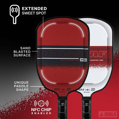 JOOLA Agassi / Graf Champion Pickleball Set | Pickleball Sports Classic