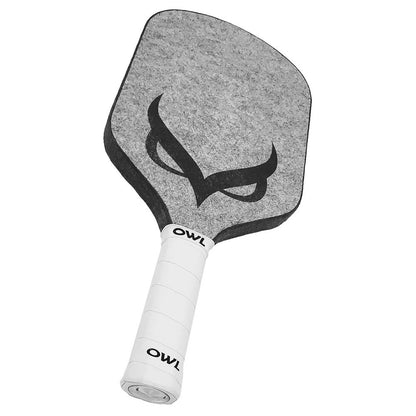 OWL CXE Pickleball Paddle | Pickleball Sports Top Pick