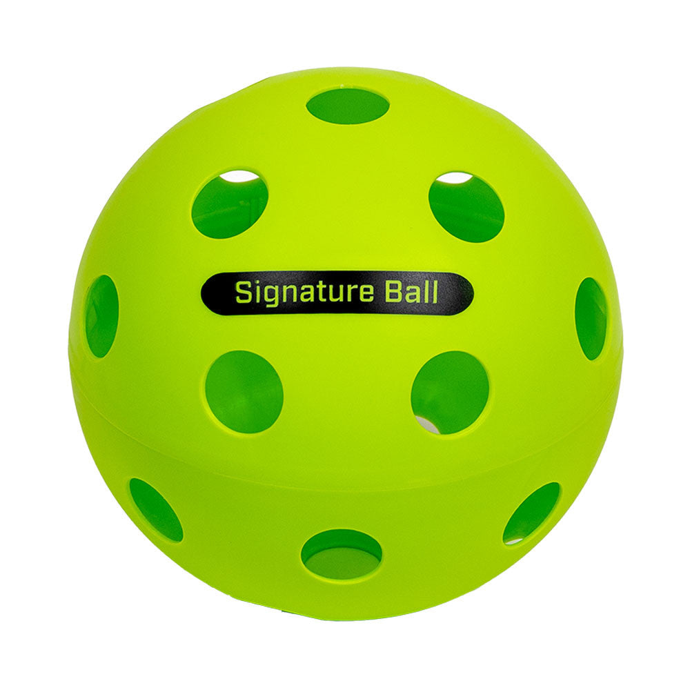 The PPa Giant Pickleball | Pickleball Sports Great Value