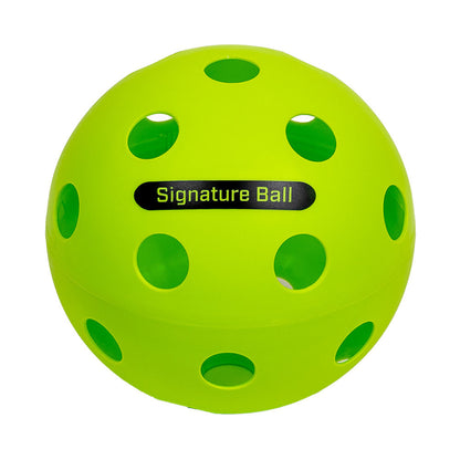 The PPa Giant Pickleball | Pickleball Sports Great Value