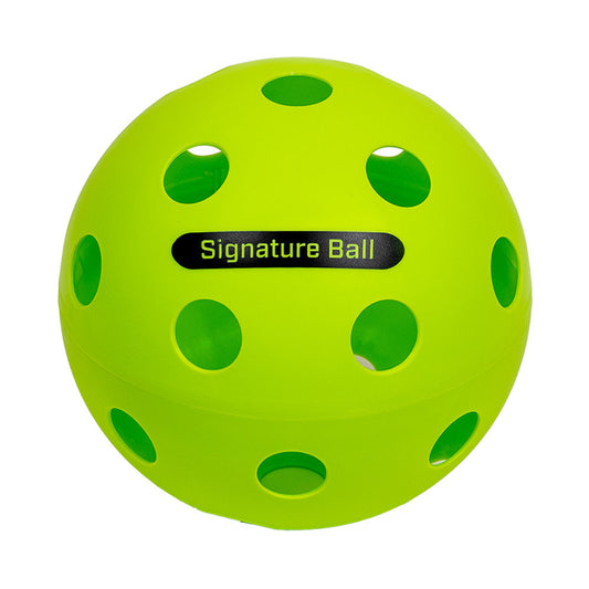 The PPa Giant Pickleball | Pickleball Sports Great Value