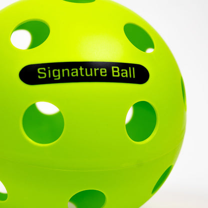 The PPa Giant Pickleball | Pickleball Sports Great Value